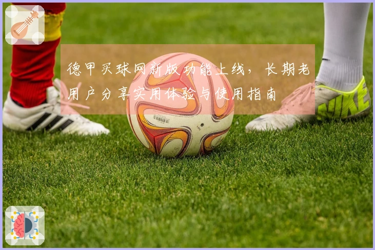 德甲买球网新版功能上线，长期老用户分享实用体验与使用指南