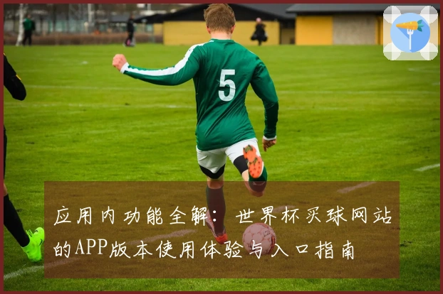 应用内功能全解：世界杯买球网站的APP版本使用体验与入口指南