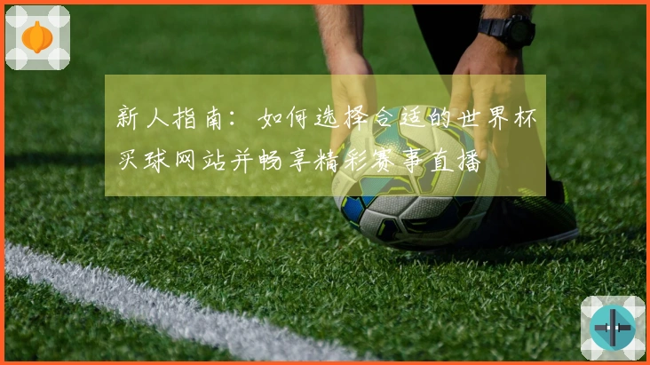 新人指南：如何选择合适的世界杯买球网站并畅享精彩赛事直播