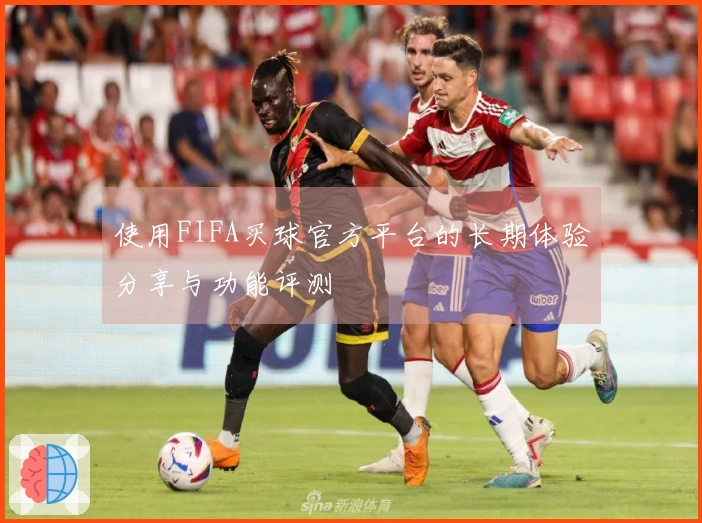 使用FIFA买球官方平台的长期体验分享与功能评测